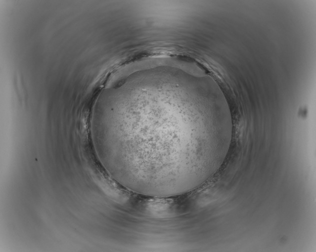 X0000089380373200706221300