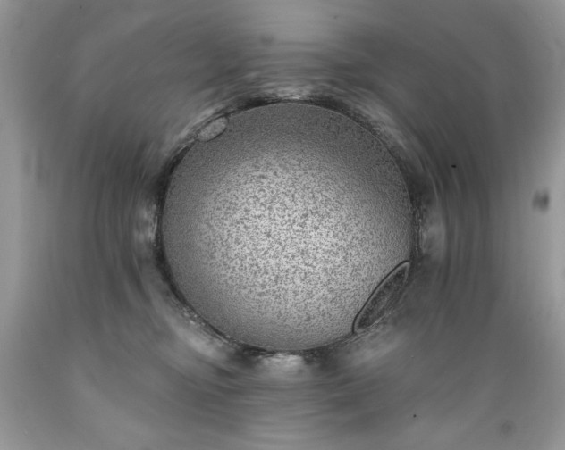 X0000089380374200706221300