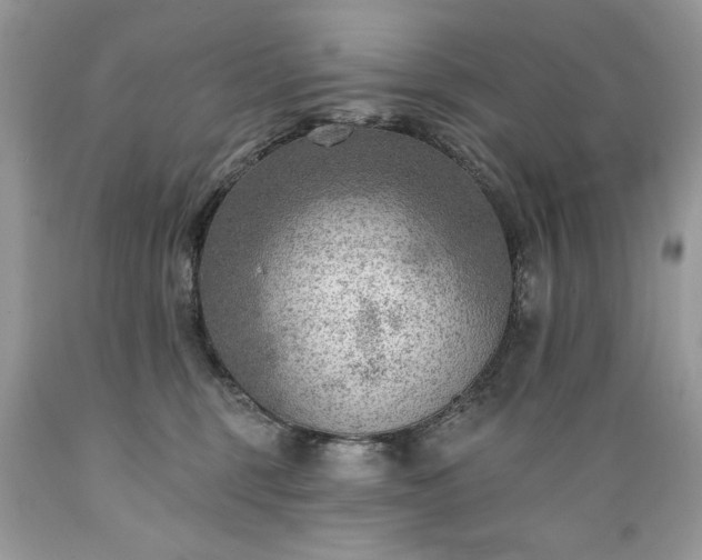 X0000089380375200706221300