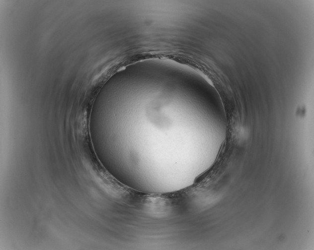 X0000089380376200706221300