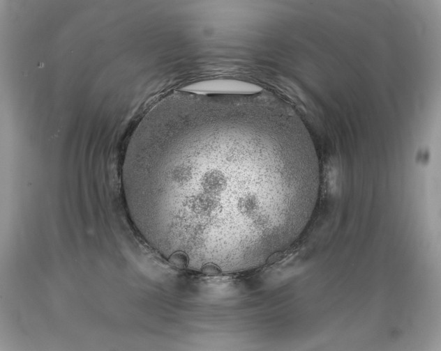 X0000089380377200706221300