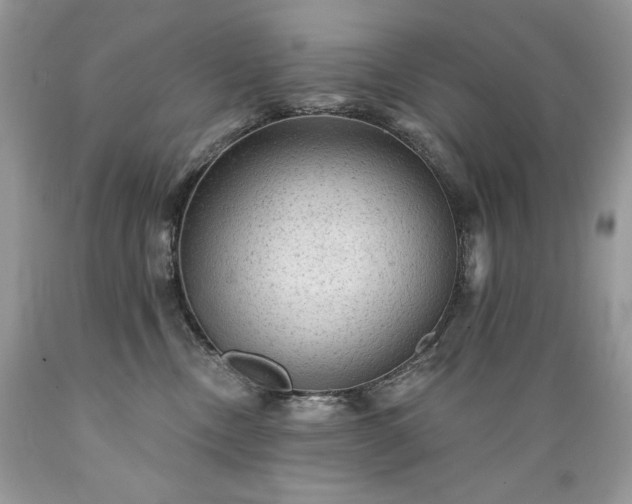 X0000089380378200706221300