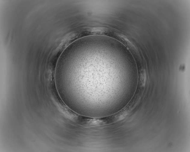 X0000089380379200706221300