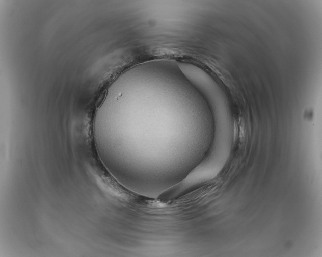 X0000089380380200706221300