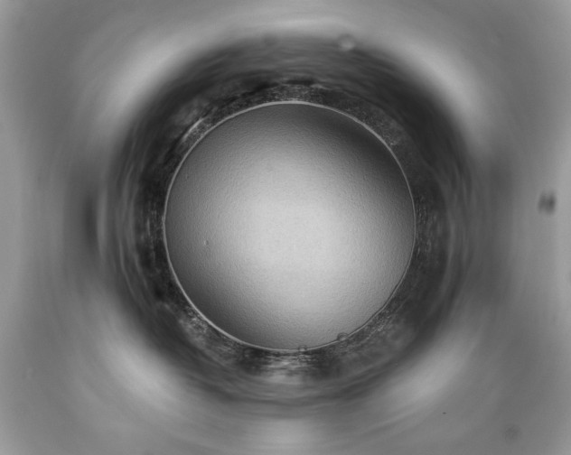 X0000089380382200706221300