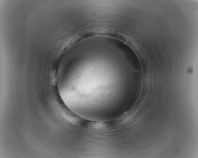 X0000089380383200706221300