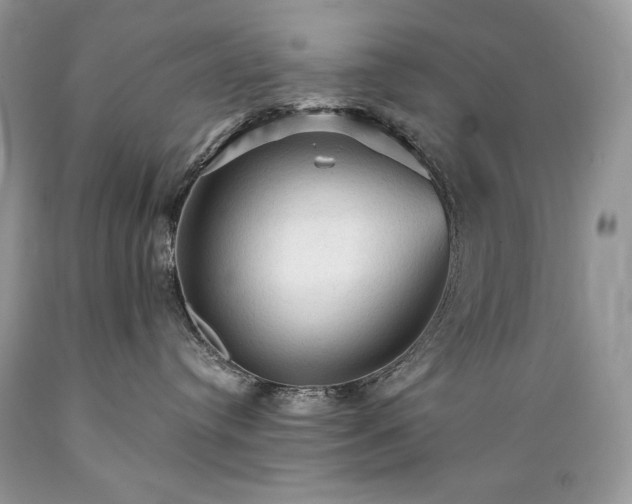 X0000089380384200706221300