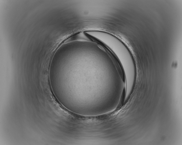 X0000089380385200706221259