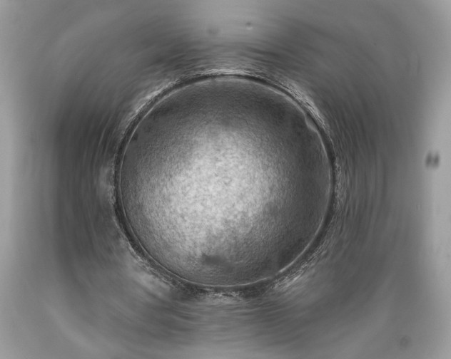 X0000089380386200706221259