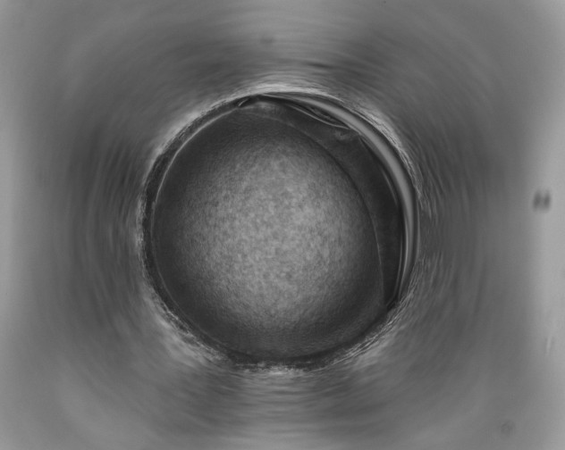X0000089380387200706221259