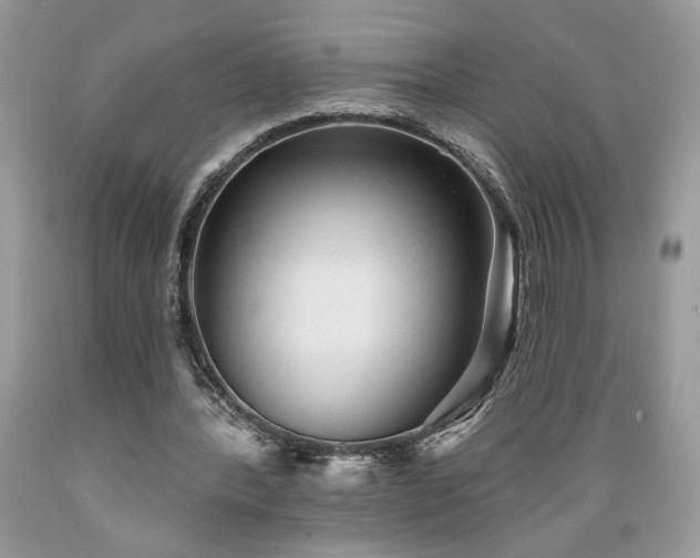 X0000089380388200706221259