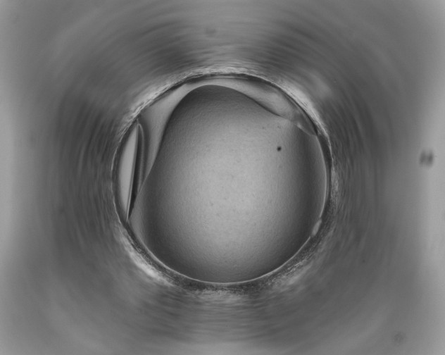 X0000089380389200706221259