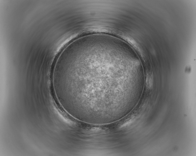 X0000089380390200706221259