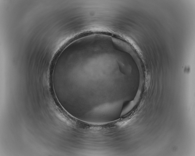 X0000089380391200706221259