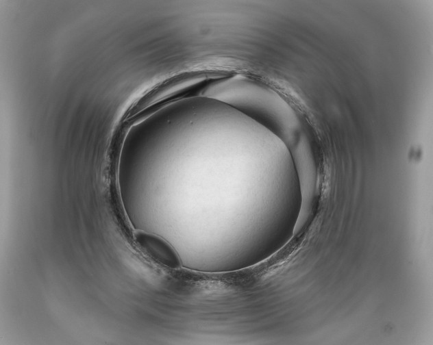 X0000089380392200706221259