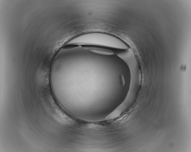 X0000089380393200706221259