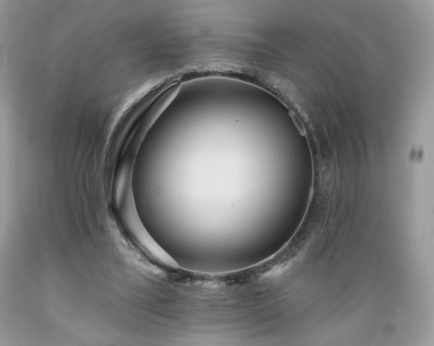 X0000089380395200706221259