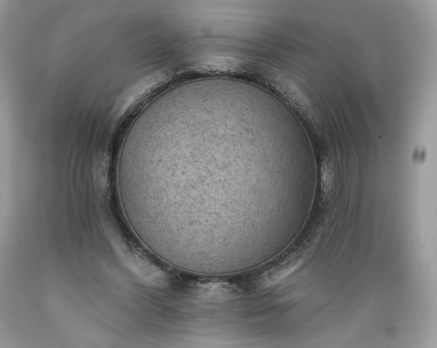 X0000089380396200706221259