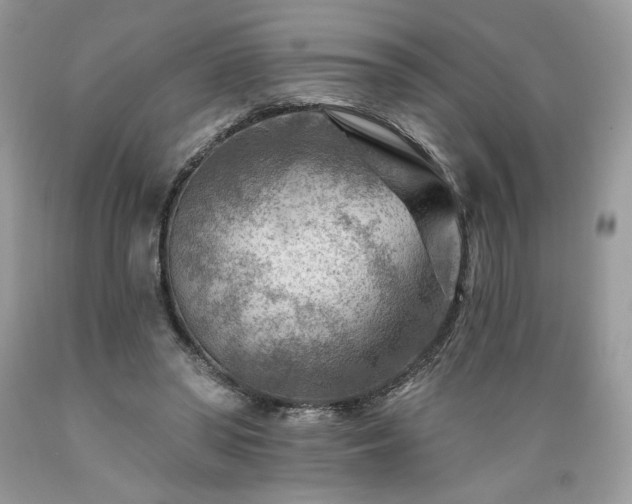 X0000089380398200706221259
