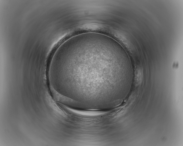 X0000089380399200706221259