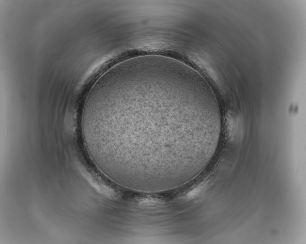 X0000089380400200706221259