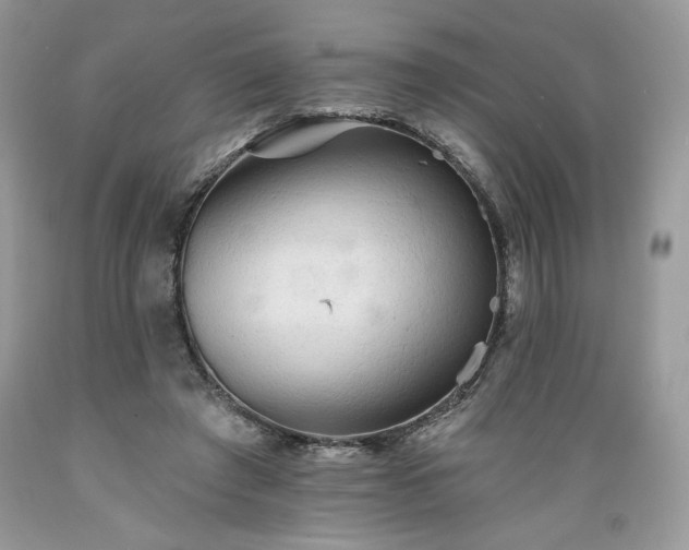 X0000089380401200706221259