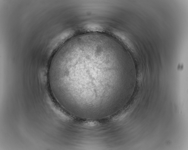 X0000089380402200706221259