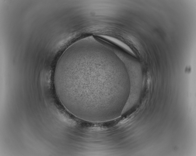 X0000089380404200706221259