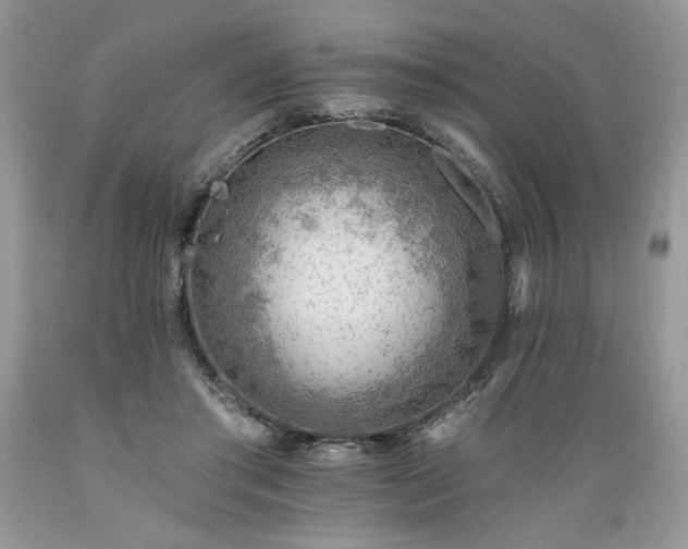 X0000089380405200706221259