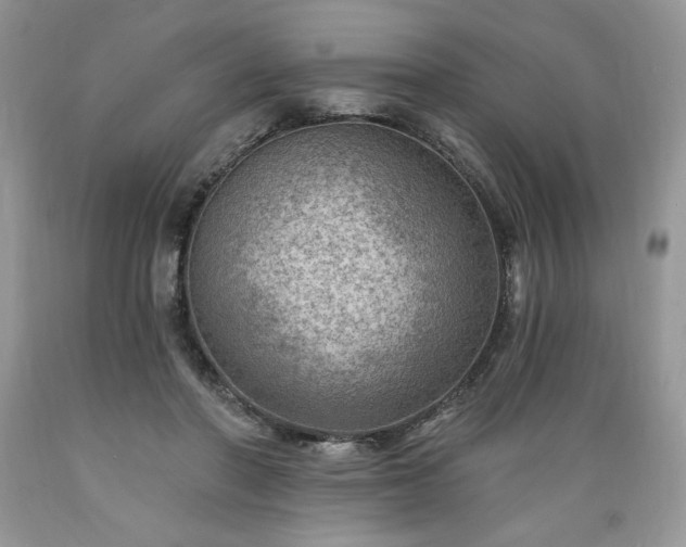 X0000089380406200706221259
