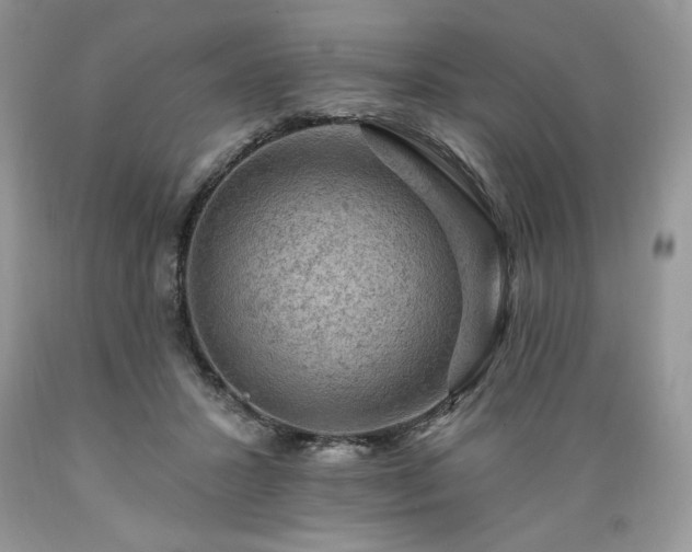 X0000089380407200706221259