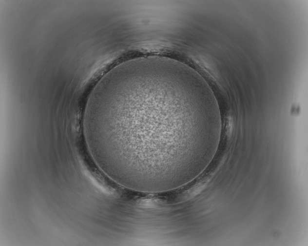 X0000089380408200706221259