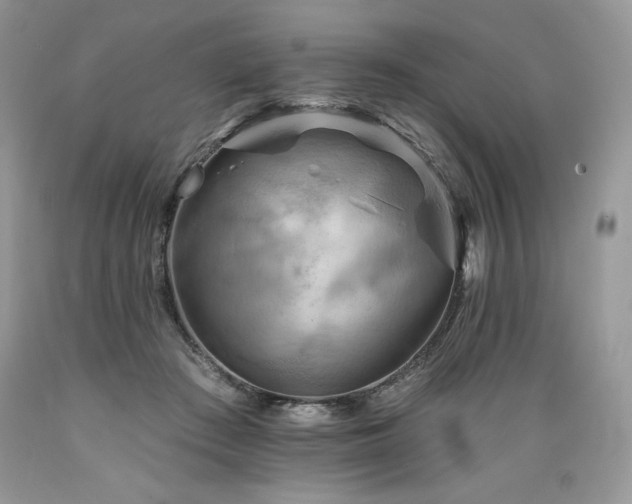 X0000089380409200706221259