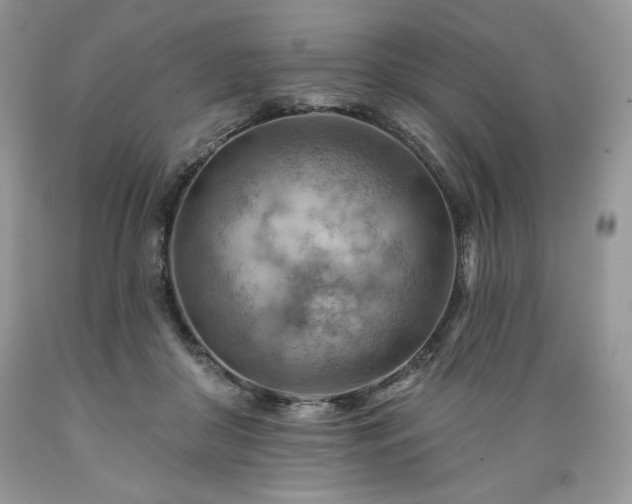 X0000089380410200706221259