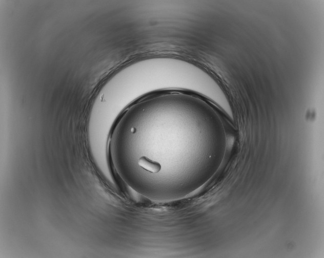 X0000089380411200706221259