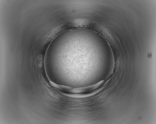 X0000089380413200706221259