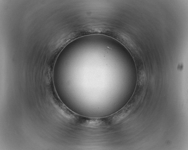 X0000089380414200706221259