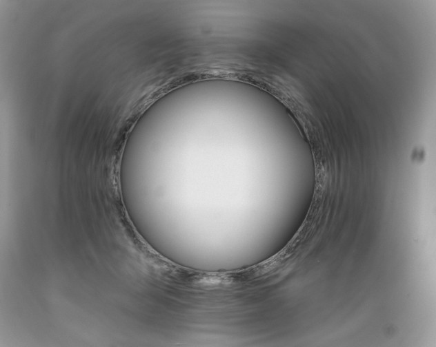 X0000089380415200706221259