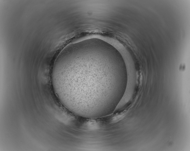 X0000089380416200706221259