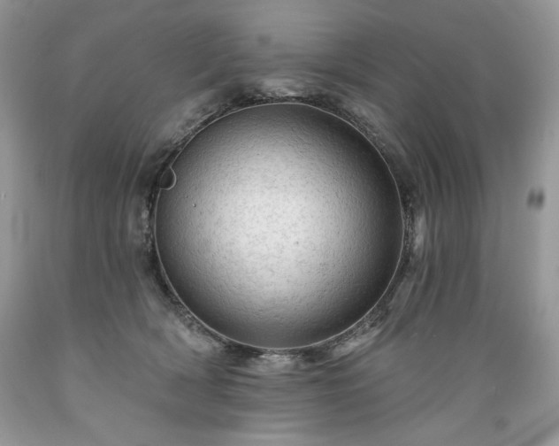X0000089380418200706221259