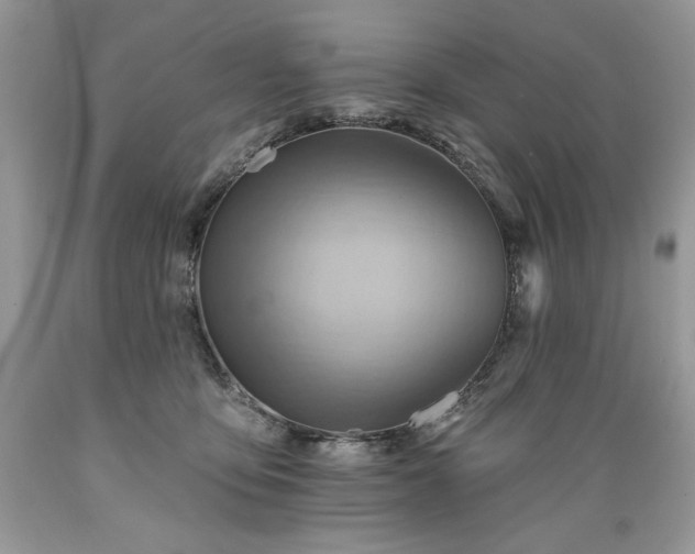 X0000089380419200706221259