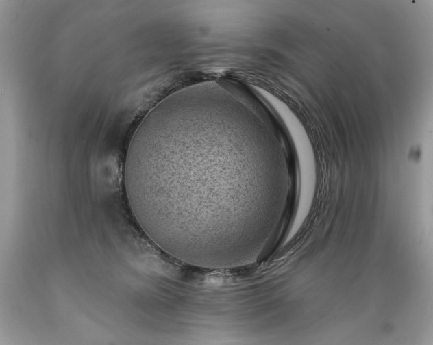X0000089380420200706221259