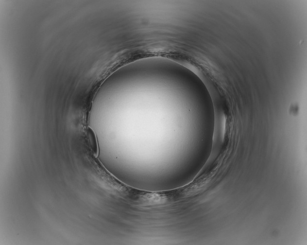 X0000089380421200706221259