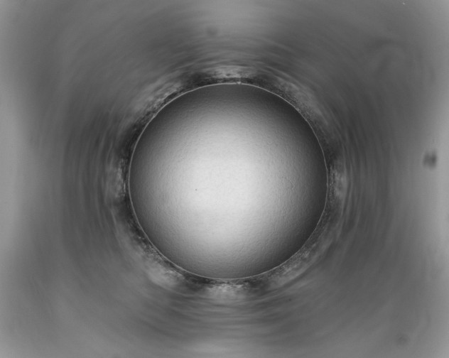 X0000089380422200706221259