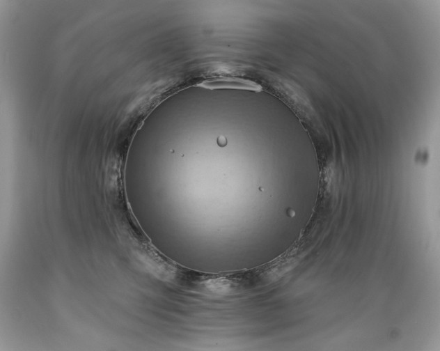 X0000089380423200706221259