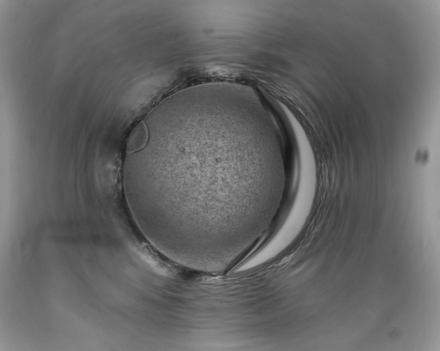 X0000089380424200706221259