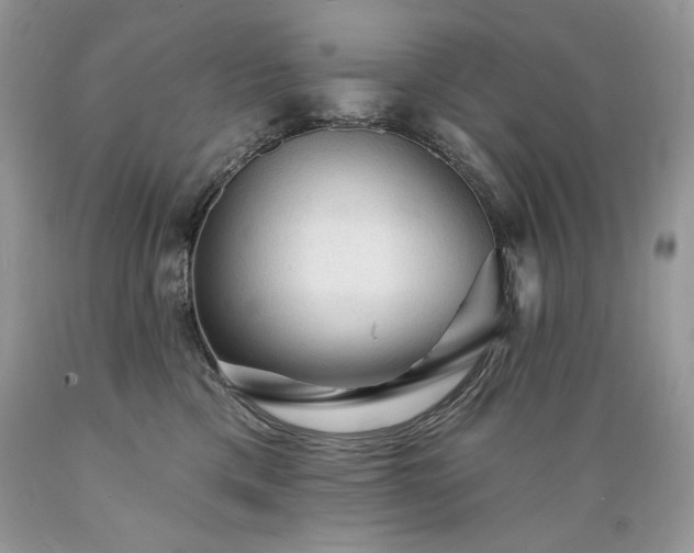 X0000089380425200706221259