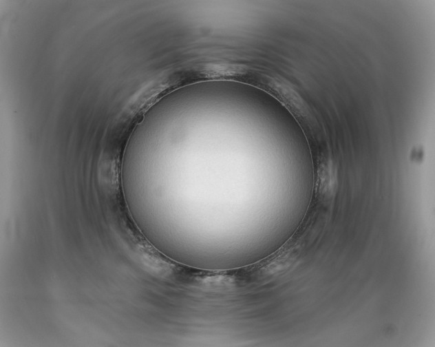 X0000089380426200706221259