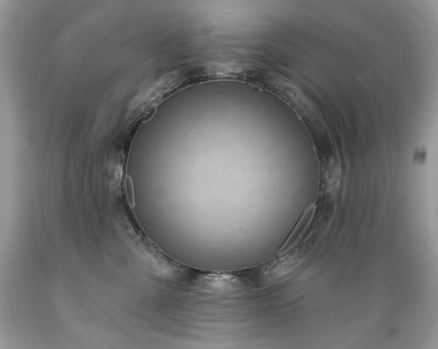 X0000089380427200706221259