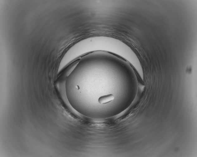 X0000089380428200706221259
